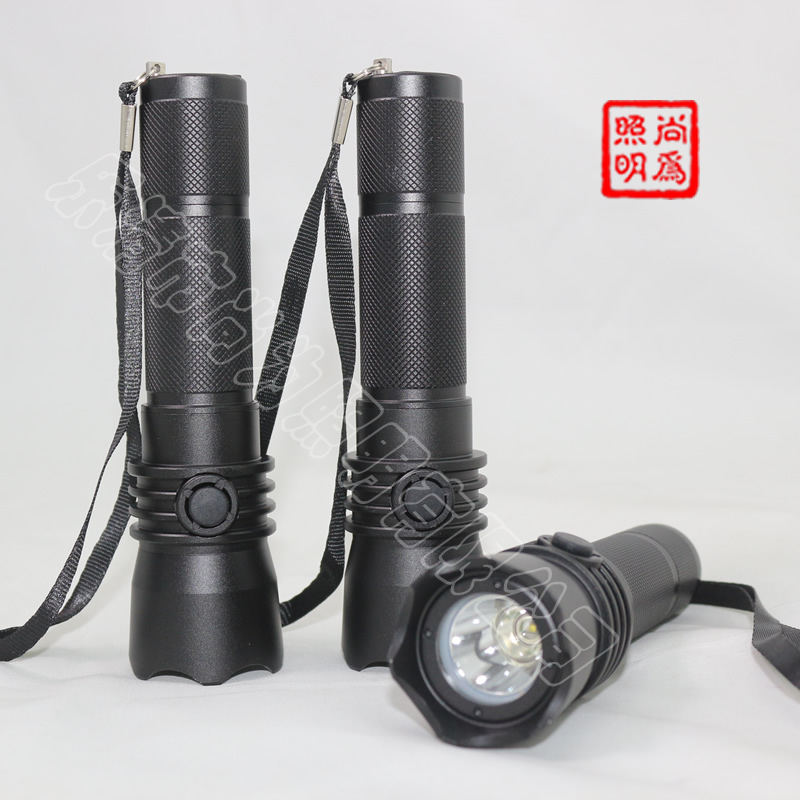 SW2101�a(ch��n)Ʒ��(sh��)��DƬ