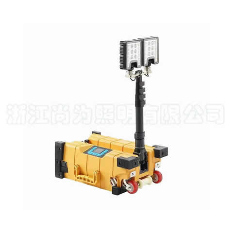 SZSW2981�๦���Ƅ�(d��ng)����ƽ�_(t��i)