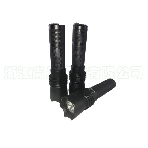 SW2101防爆強光電筒